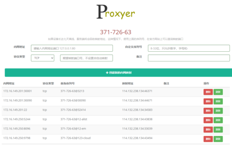 新一代内网穿透：Proxyer一款简单且带Web面板的内网穿透工具